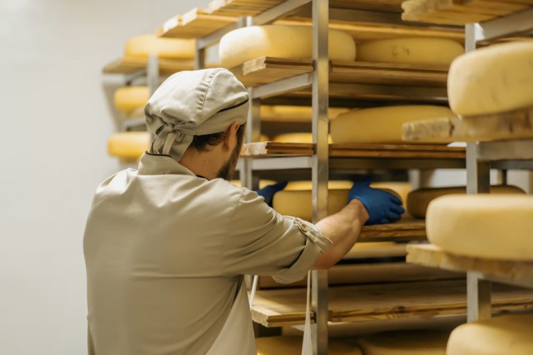 Exploring Different Types of Cheese: A Beginner’s Overview